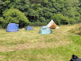 Bell tent for rent
