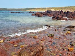 Freshwater east