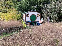Hobbit hole