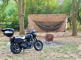 The perfect hammock trees. a rare find on any uk campsite.