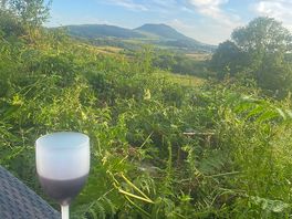 View as the the sun sets