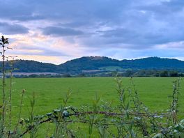 Nearby view