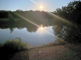 Night time view across the lake.