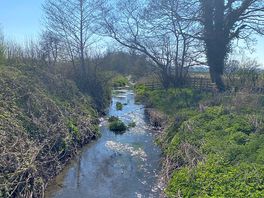 River view