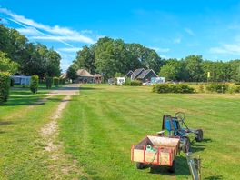 Buggy rides around the pitches
