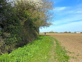 Another walk in the other direction