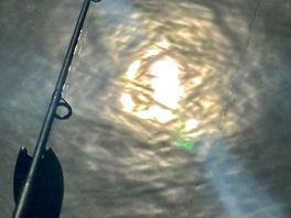 The sun