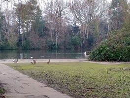 Lakeside walk