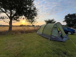 Our pitch