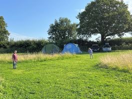 Lovely big field