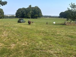 Look over the field
