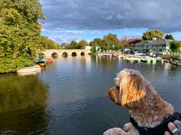 Canal walk with our pup