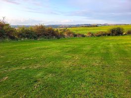 Plenty of greenery to see here