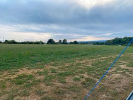 Open field
