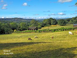 Fields behind the campsite