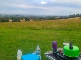 Kettle and view with alpacas