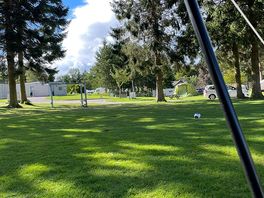 Some views of the campsite