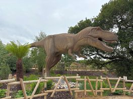 Wildlife park