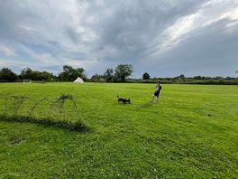 Lots of space to play