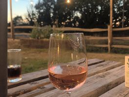 Beautiful beer garden