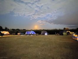 Tent field