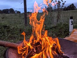 Fires allowed