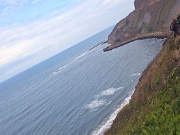 Bay