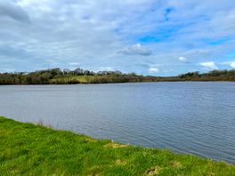 Lower tamar lake