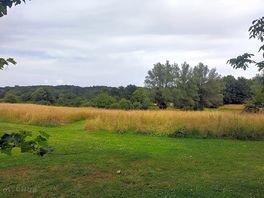 Wild meadow walk