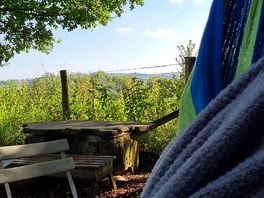 In the hammock, enjoying the view.