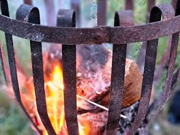 Hired camp fire