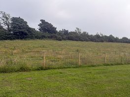 Grass pitch