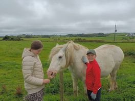 Horse staying at site very friendly loves children