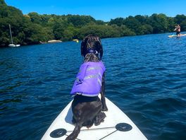 Paddle boarding with the dog!