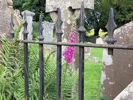 Pic from the old graveyard
