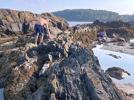 Rocky beach opposite the site