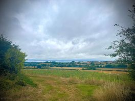 Farm walks.