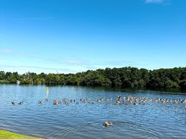 Salhouse broad for launching nearby
