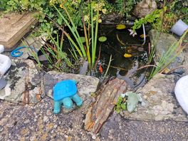 Very cute fishing pond