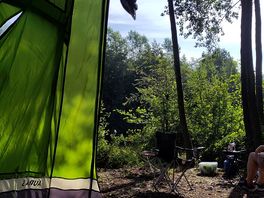 View from our tent first thing