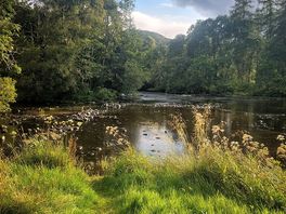 Riverside.