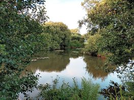 Small fishing lake