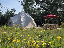 Oak bell tent