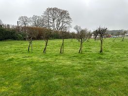 View from pitch