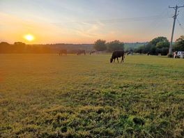 Great sunsets