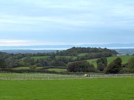View from the site