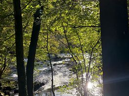 Along river
