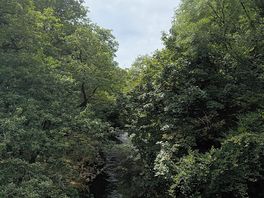 Scenery