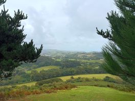View of the campsite from the hill
