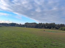 Big sky